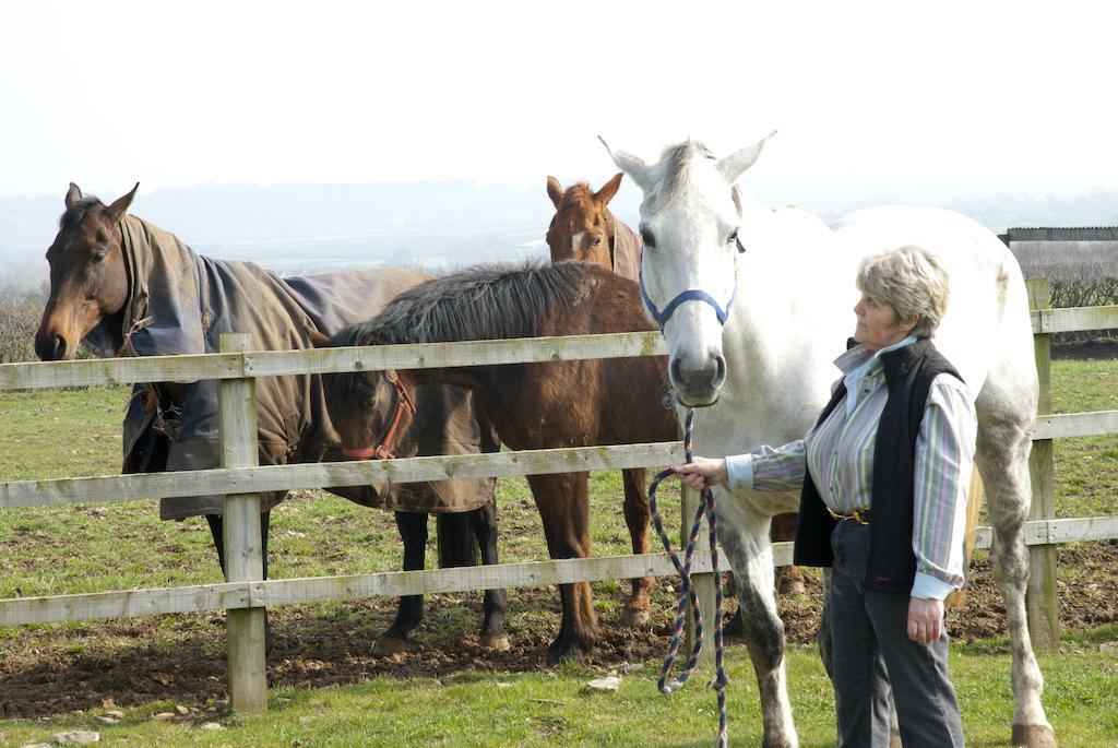 Cleers View Farm Bed & Breakfast Somerton  Eksteriør bilde
